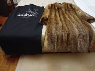 Abrigo de zorro del país