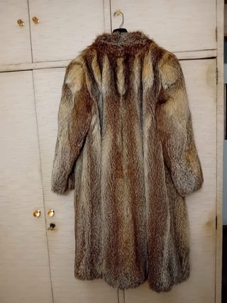 Abrigo de zorro del país