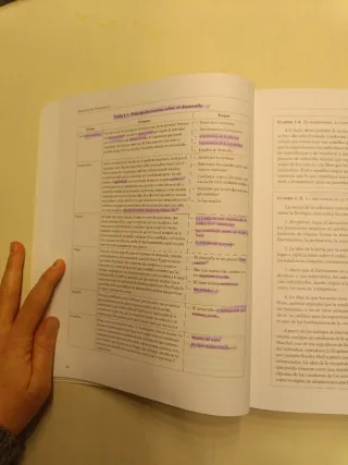 Psicología del desarrollo I (GRADO) (Spanish Ed...