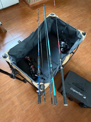 Lote de pesca: cañas y carretes