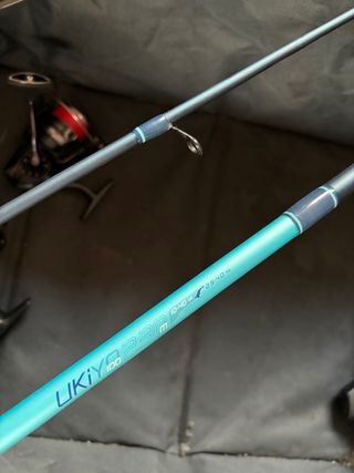 Lote de pesca: cañas y carretes