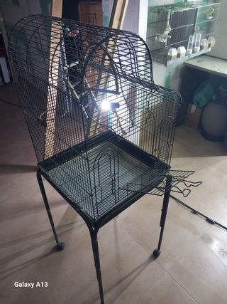 Jaula para pájaros (ninfa, inseparable)