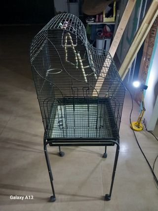 Jaula para pájaros (ninfa, inseparable)