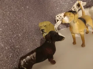 Set 6 cani giocattolo