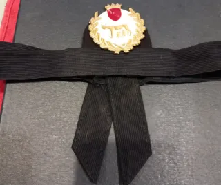 Fregio Polizia Municipale Roma