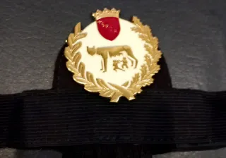 Fregio Polizia Municipale Roma