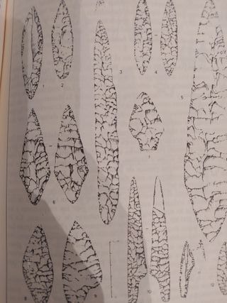 Prehistoria 1. Manual de Historia Universal