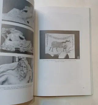 Libro arqueología Santuario de Serapis en Ostia