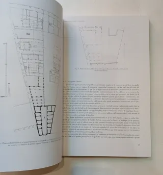 Libro arqueología Santuario de Serapis en Ostia