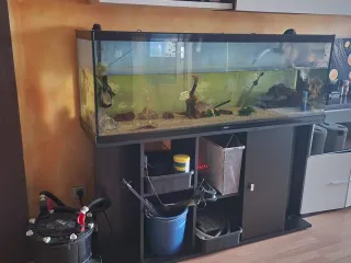 Acuario 400L + Filtro FX4 + Accesorios
