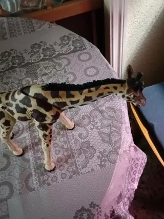 Juguete Jirafa
