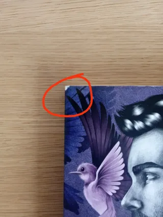 Venimos de un lugar llamado primer amor