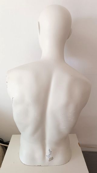 Busto maniquí hombre (80x40 cm)