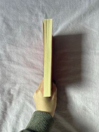 Mi hermana vive sobre la repisa de la chimenea