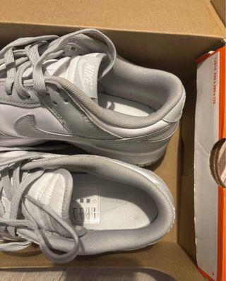 Nike Dunk Low Gris y Blanco