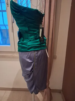 Gonna Elisabetta Franchi verde/viola