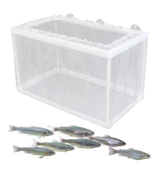 Caja cría peces acuario