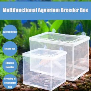 Caja cría peces acuario