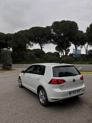 Volkswagen Golf 1.6TDI