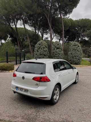Volkswagen Golf 1.6TDI