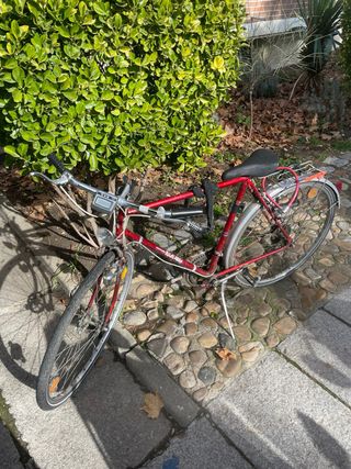 Bicicleta francesa de carretera