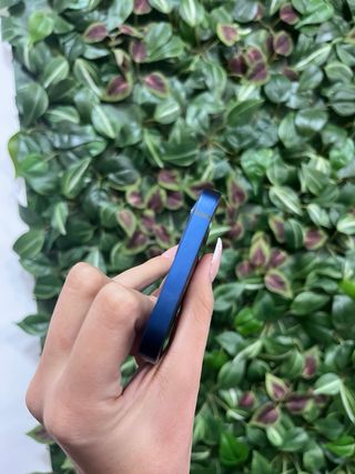 iPhone 12 256GB Azul