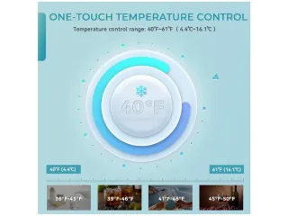 Mini nevera EUHOMY 55L