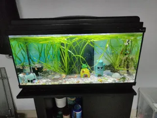 Acuario Aquarlantis 80L.
