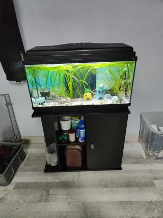 Acuario Aquarlantis 80L.