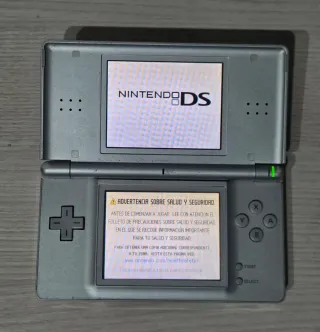 Nintendo DS Argento