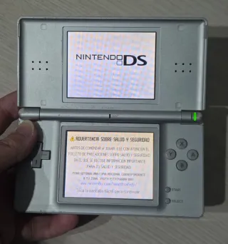Nintendo DS Argento
