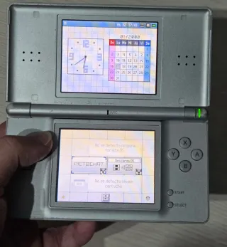 Nintendo DS Argento