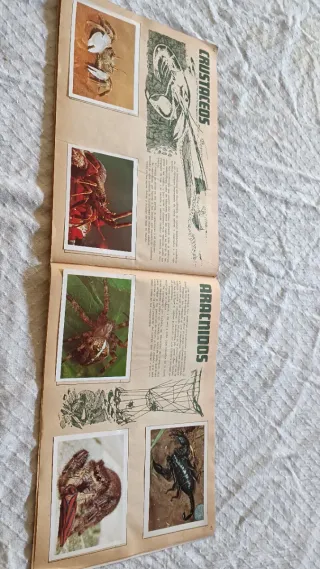 Álbum cromos vintage Naturaleza Viva