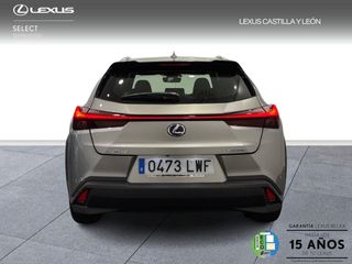 Lexus UX BUSSINESS 2WD