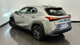Lexus UX BUSSINESS 2WD