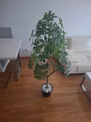 Planta Artificial Decorativa Ikea