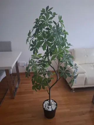 Planta Artificial Decorativa Ikea