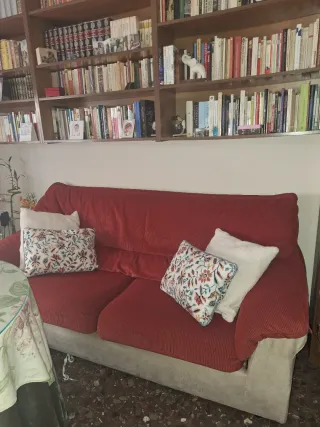 Sofá de 2 plazas beige y rojo