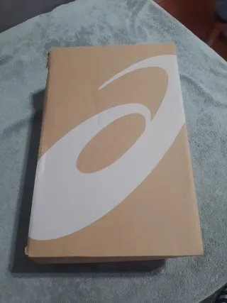 Asics Gel Gris Talla 40