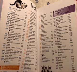 300 preguntas sobre gatos