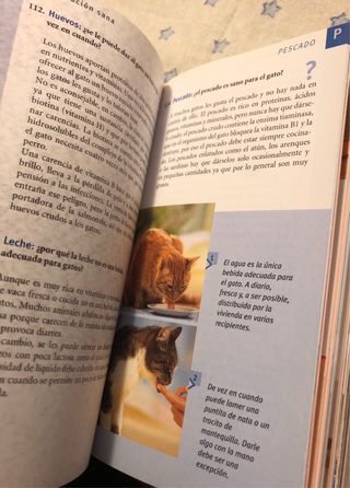 300 preguntas sobre gatos