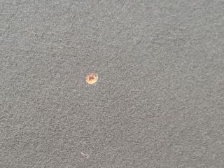 BANDEJA TRASERA PEUGEOT 308 SW