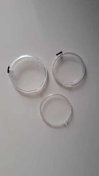 Protector Bisel Rolex Plata