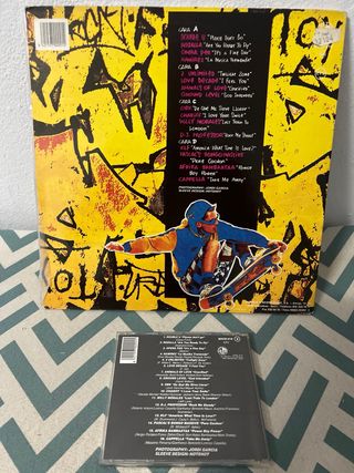 Lp & CD Skate Board 4
