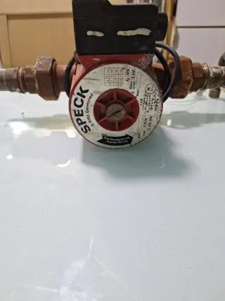 Bomba de recirculación Speck