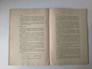 Proyectos Puentes Arco Hormigón - Fernández Casado