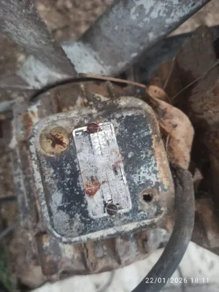 Ventilador/Extractor Industrial