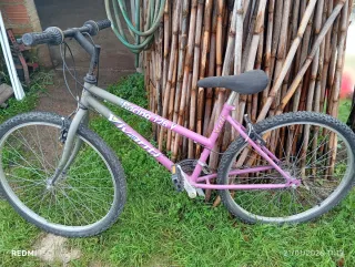 Bicicleta Vivanti Racing 126Y Morada