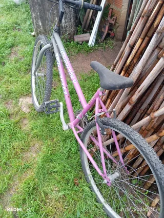 Bicicleta Vivanti Racing 126Y Morada