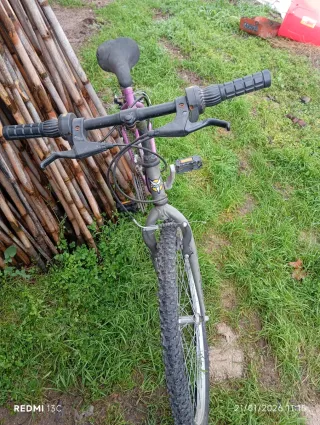 Bicicleta Vivanti Racing 126Y Morada